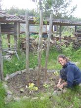 A közösség azt szereti, ha minden tagja virágzik, és felszínre kerülnek belső képességei.