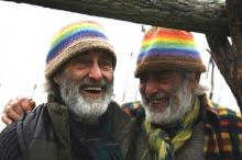 A társas szövedék, ami a nagyobb közösségi szervezetet alkotja, a foltvarráshoz hasonlóan kisebb darabkákból áll össze...